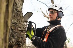 Green-Shadow-Tree-Service